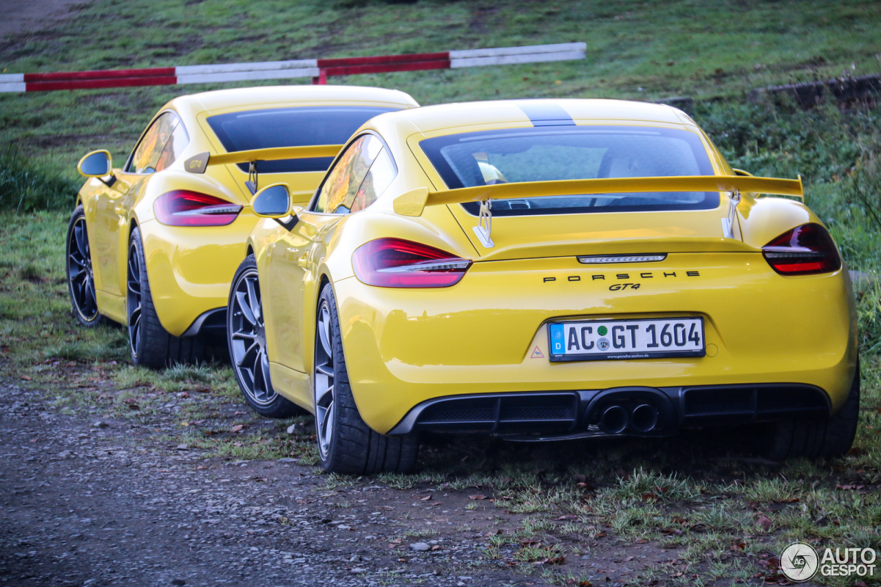 Porsche 981 Cayman GT4