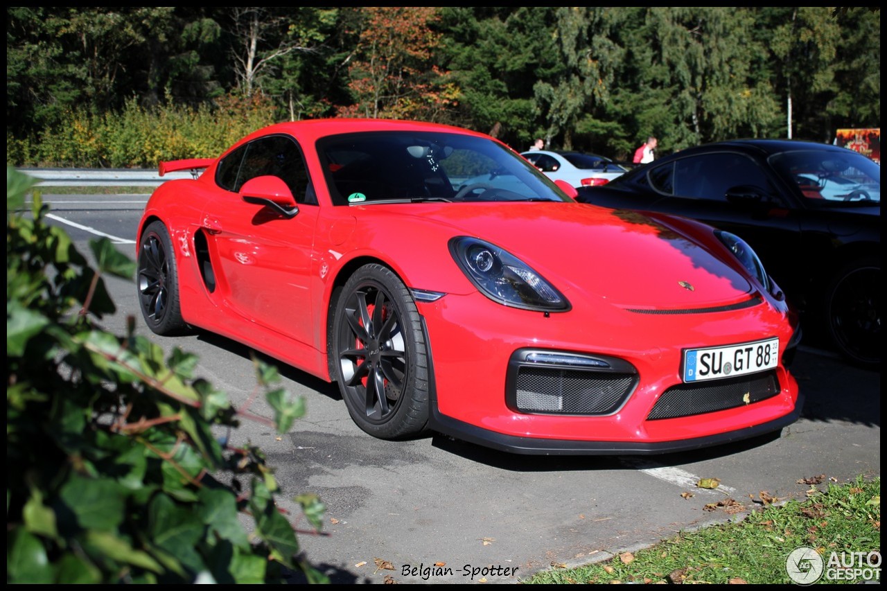 Porsche 981 Cayman GT4