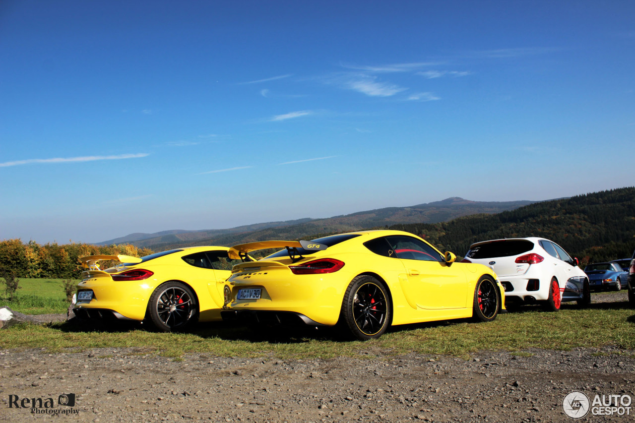 Porsche 981 Cayman GT4