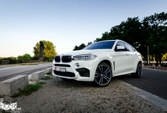 BMW X6 M F86