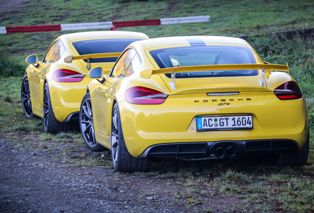 Porsche 981 Cayman GT4