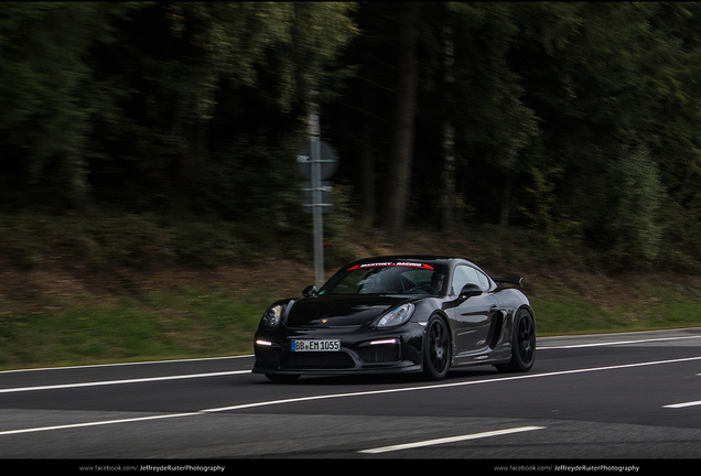 Porsche 981 Cayman GT4