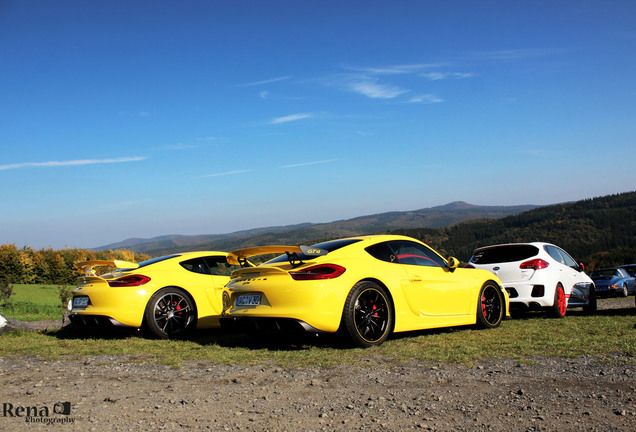 Porsche 981 Cayman GT4