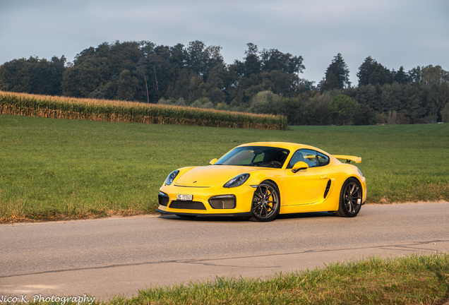 Porsche 981 Cayman GT4