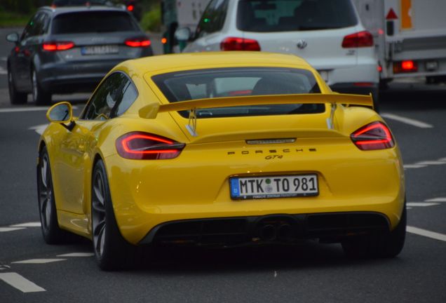 Porsche 981 Cayman GT4