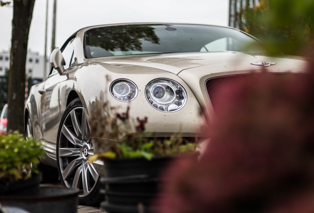 Bentley Continental GTC V8