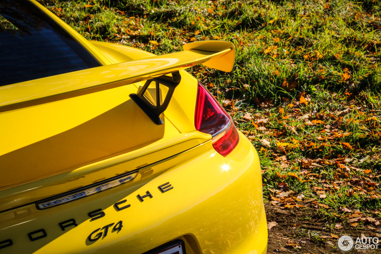 Porsche 981 Cayman GT4