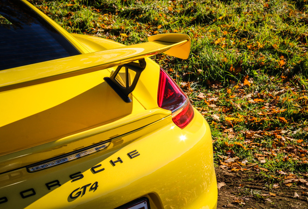 Porsche 981 Cayman GT4