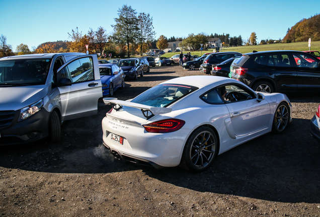 Porsche 981 Cayman GT4