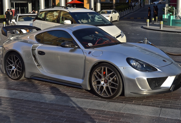 Porsche Cayman Royal Customs Alpha One Bodykit