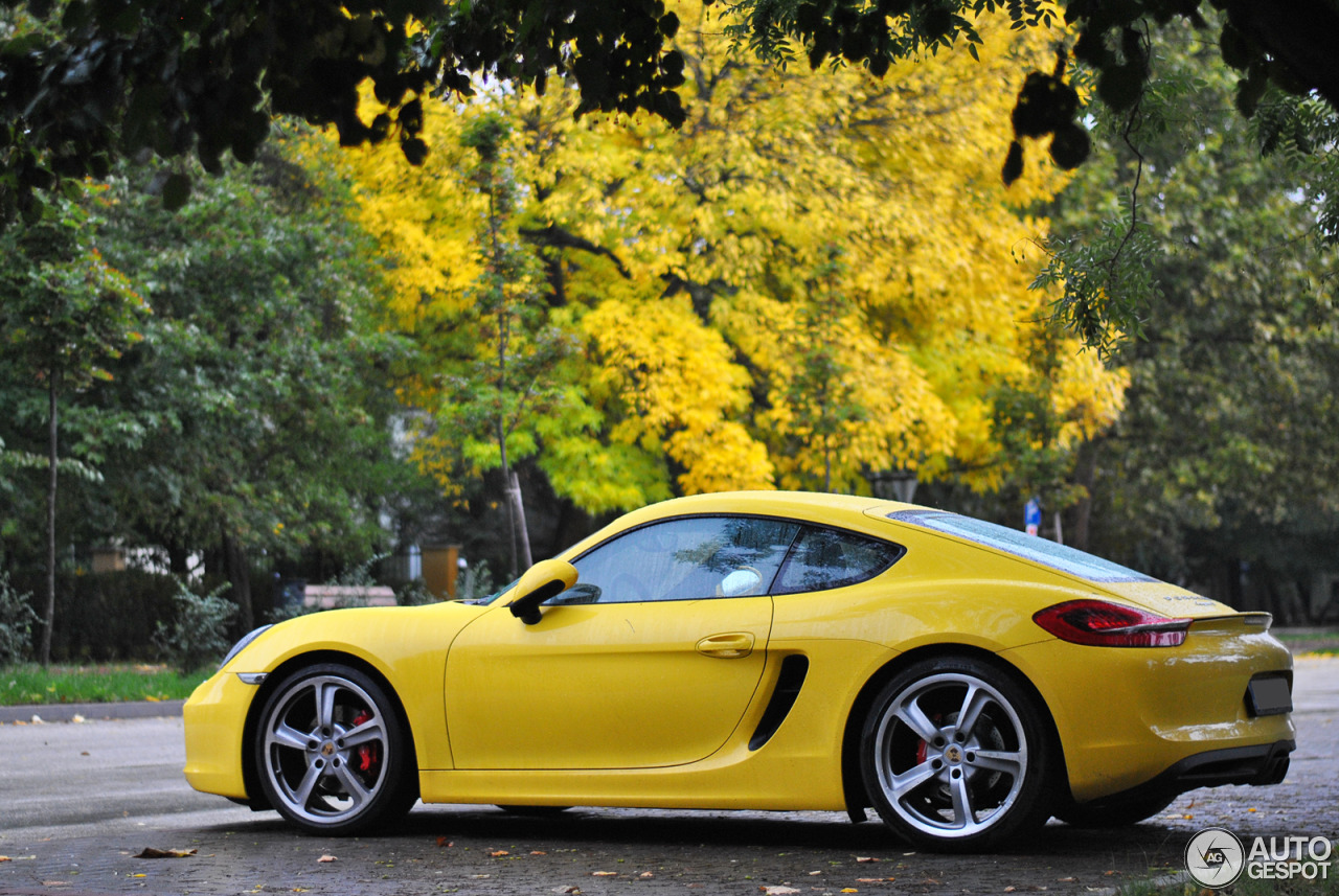 Porsche 981 Cayman S