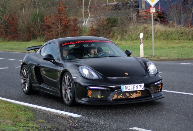 Porsche 981 Cayman GT4