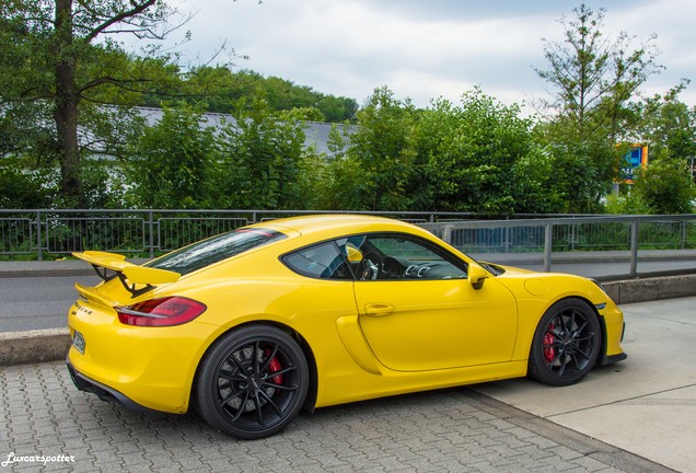 Porsche 981 Cayman GT4