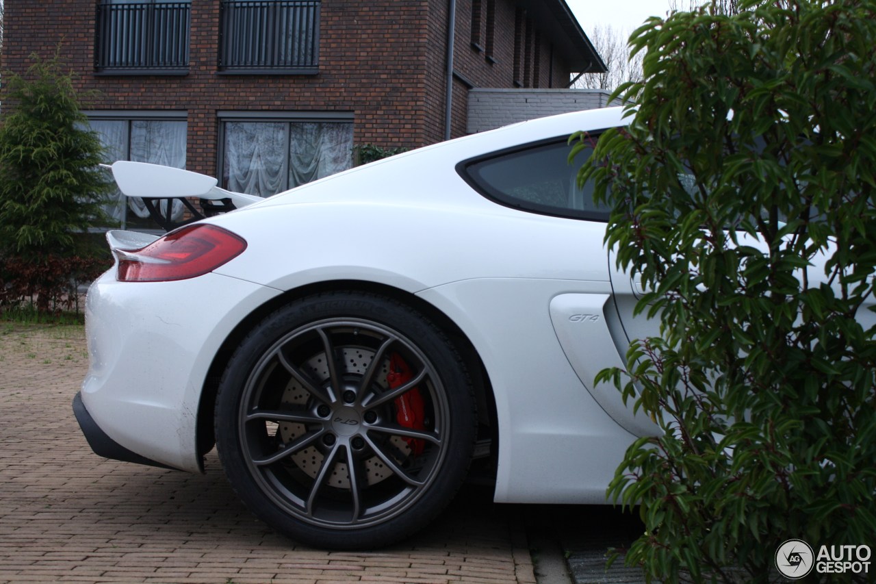 Porsche 981 Cayman GT4