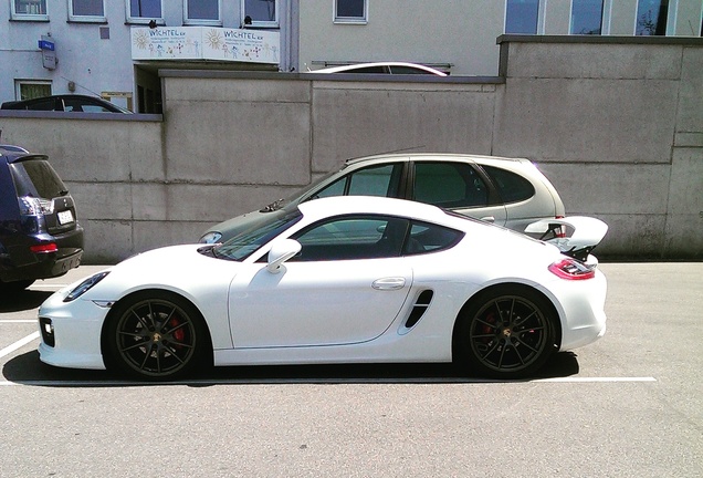 Porsche TechArt Cayman S 2013