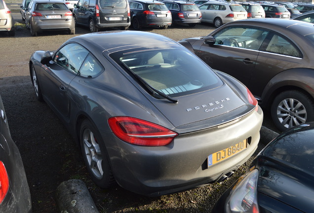 Porsche 981 Cayman S