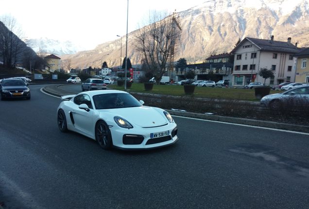 Porsche 981 Cayman GT4