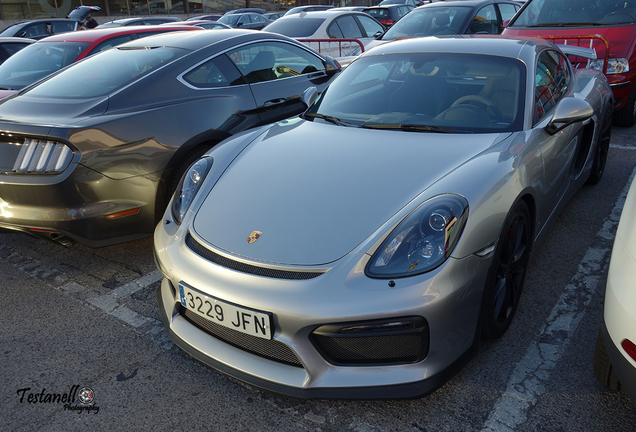 Porsche 981 Cayman GT4