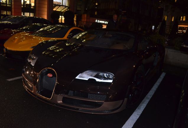 Bugatti Veyron 16.4 Grand Sport Vitesse Rembrandt Bugatti