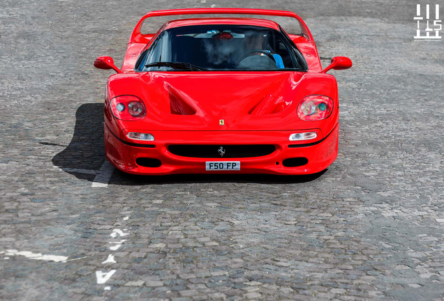 Ferrari F50