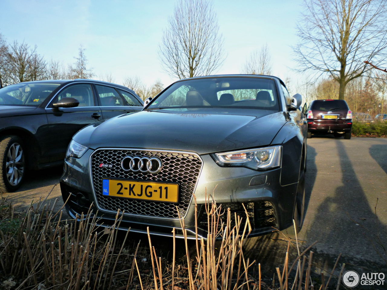 Audi RS5 Cabriolet B8