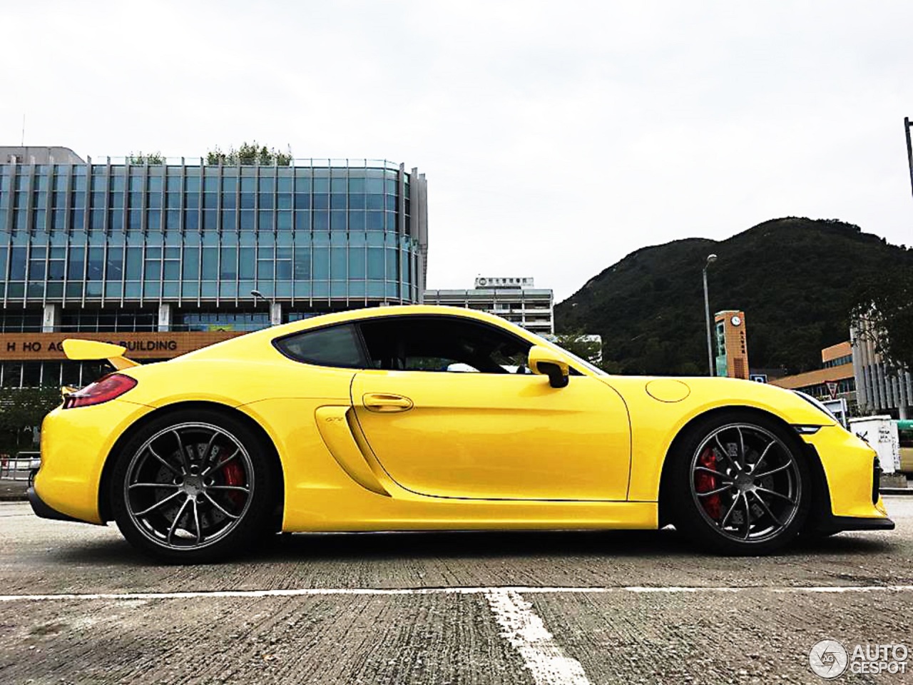 Porsche 981 Cayman GT4