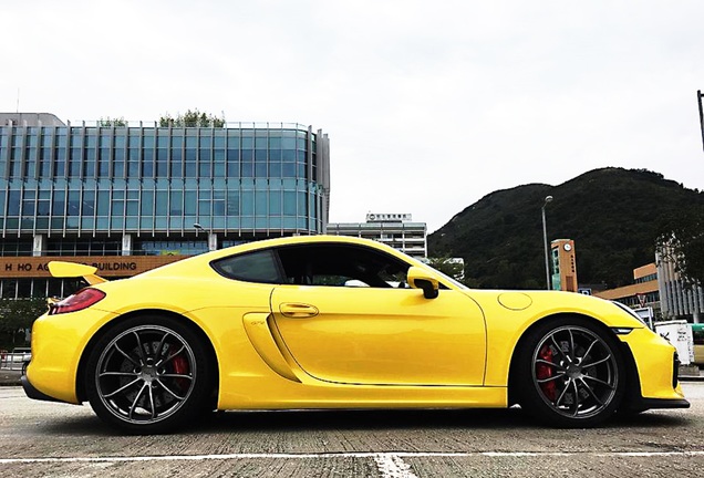 Porsche 981 Cayman GT4