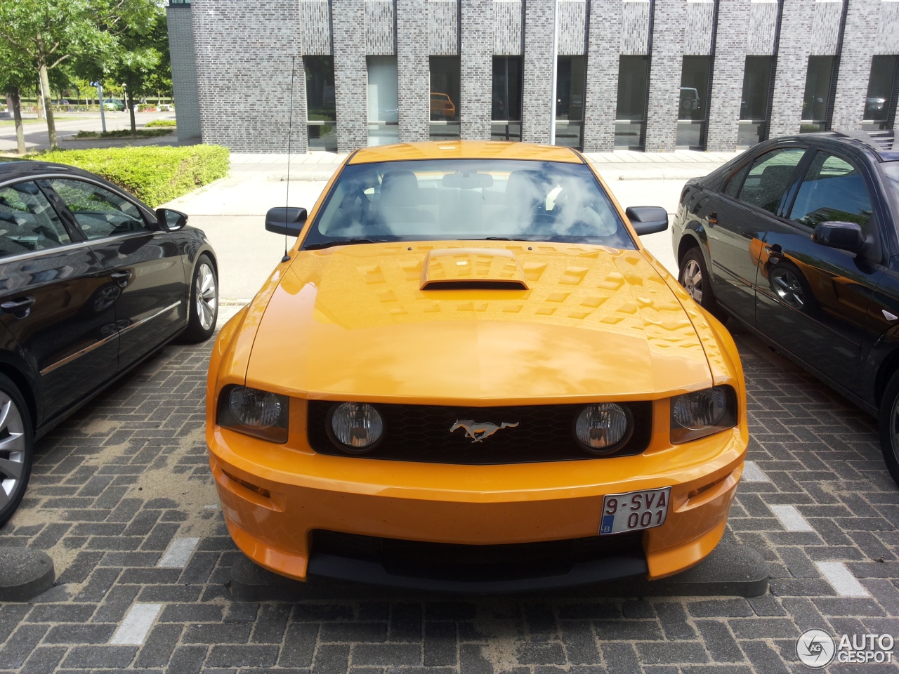 Ford Mustang GT California Special