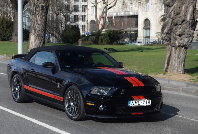 Ford Mustang Shelby GT500 Convertible 2010