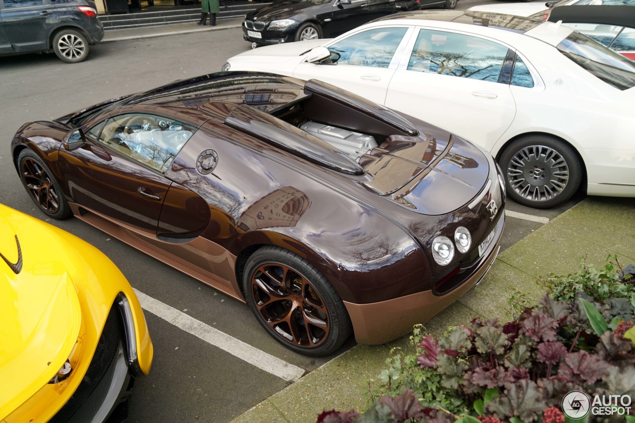 Bugatti Veyron 16.4 Grand Sport Vitesse Rembrandt Bugatti