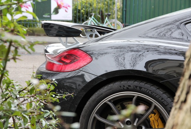 Porsche 981 Cayman GT4