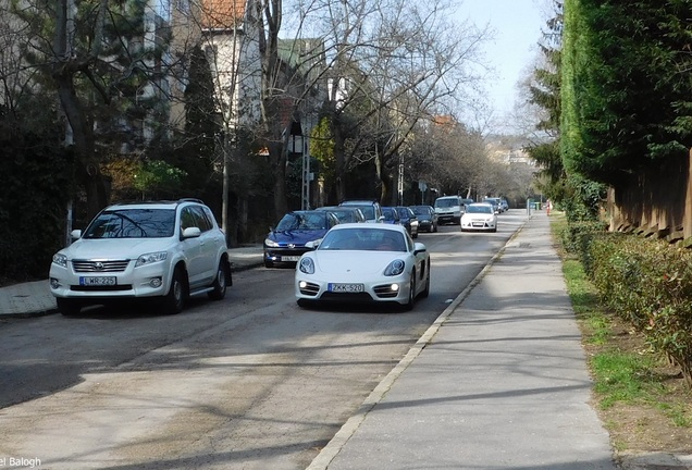 Porsche 981 Cayman S