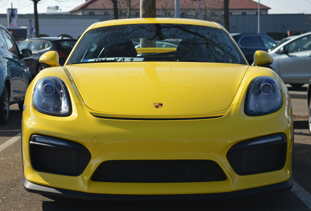 Porsche 981 Cayman GT4