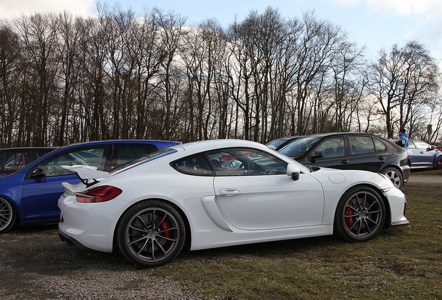 Porsche 981 Cayman GT4