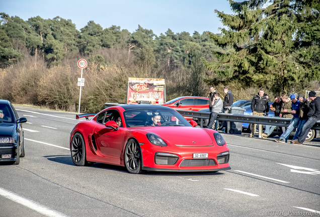 Porsche 981 Cayman GT4