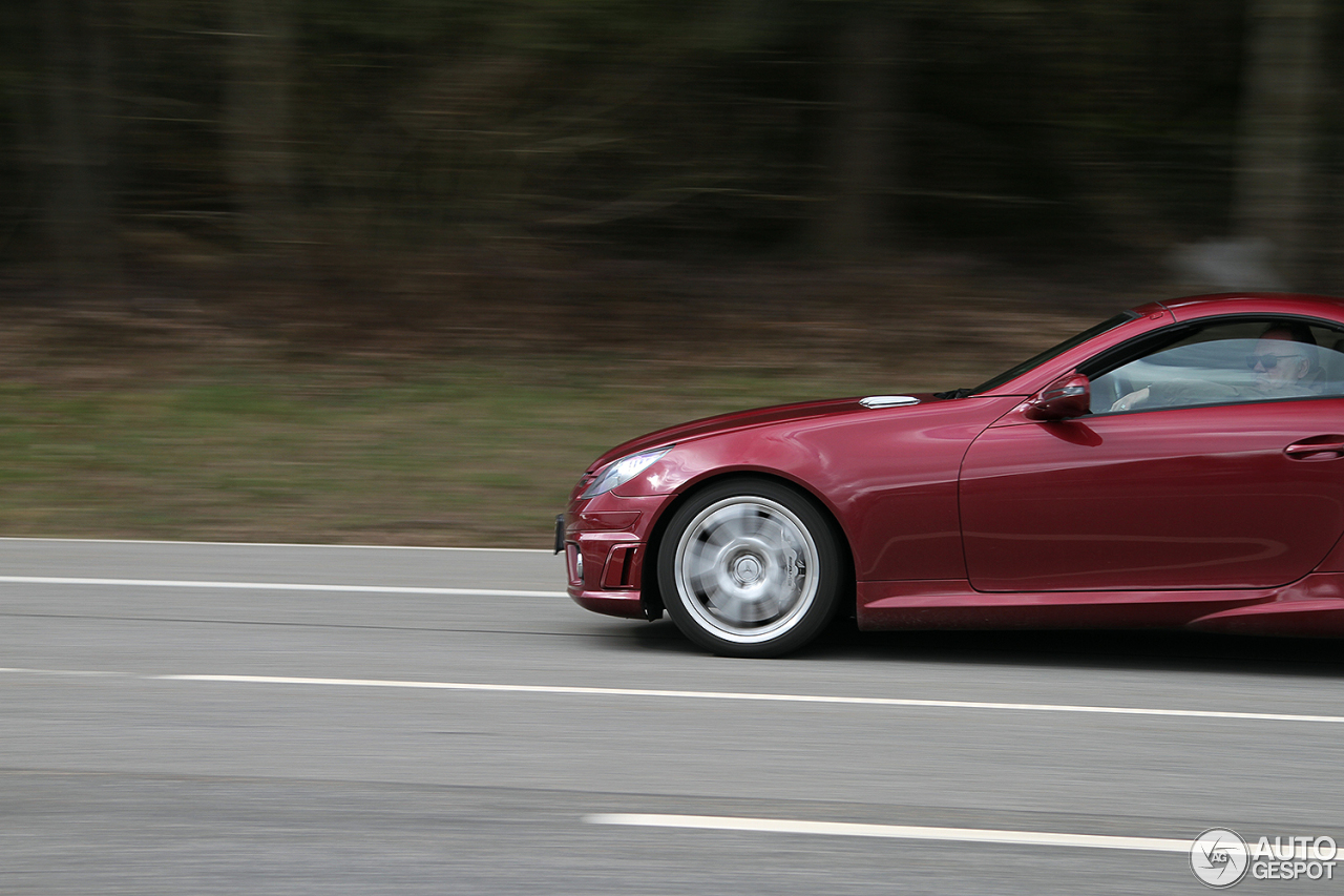 Mercedes-Benz SLK 55 AMG R171 2007