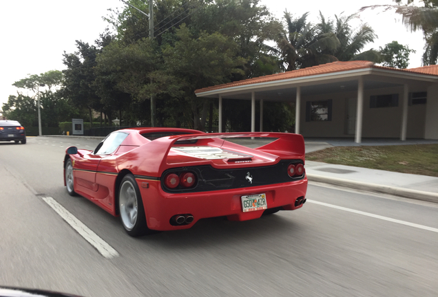 Ferrari F50