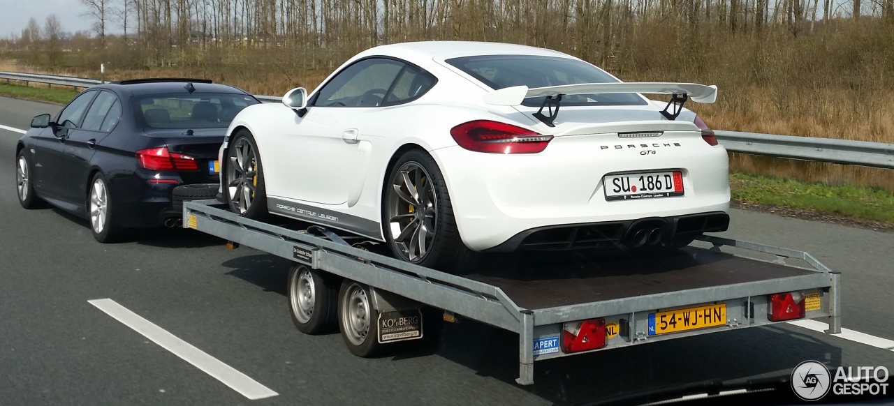 Porsche 981 Cayman GT4