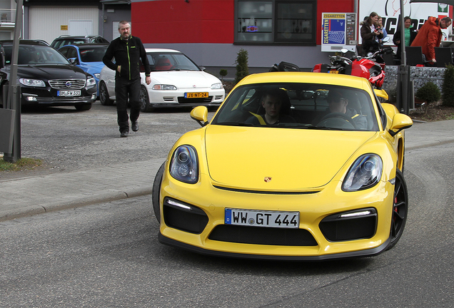 Porsche 981 Cayman GT4