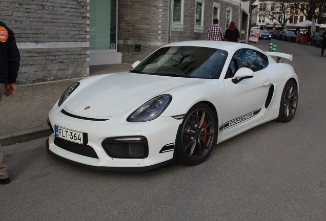 Porsche 981 Cayman GT4