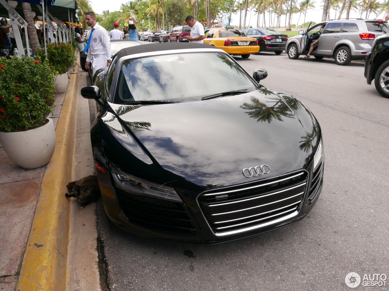 Audi R8 V10 Spyder 2013