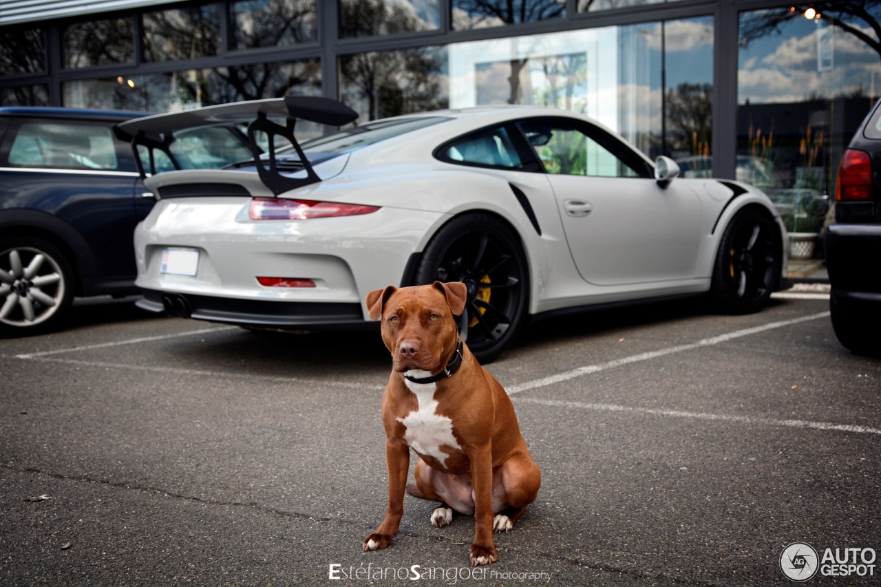 Porsche 991 GT3 RS MkI