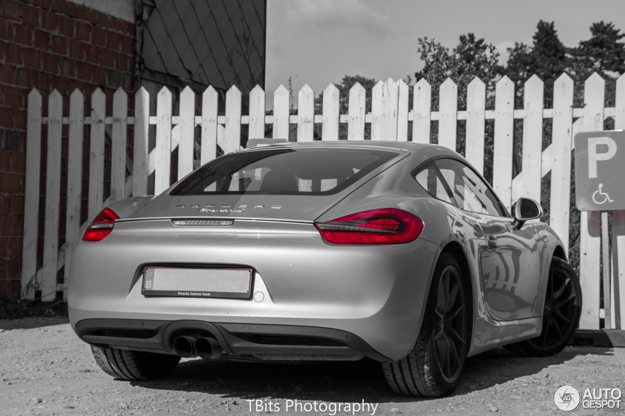 Porsche 981 Cayman S