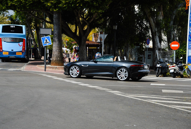 Jaguar F-TYPE S Convertible
