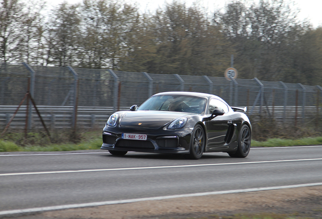 Porsche 981 Cayman GT4