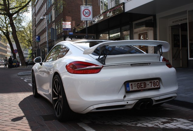 Porsche 981 Cayman S