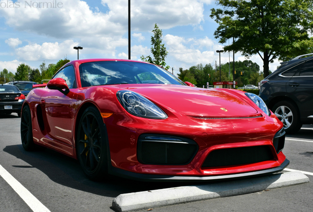 Porsche 981 Cayman GT4