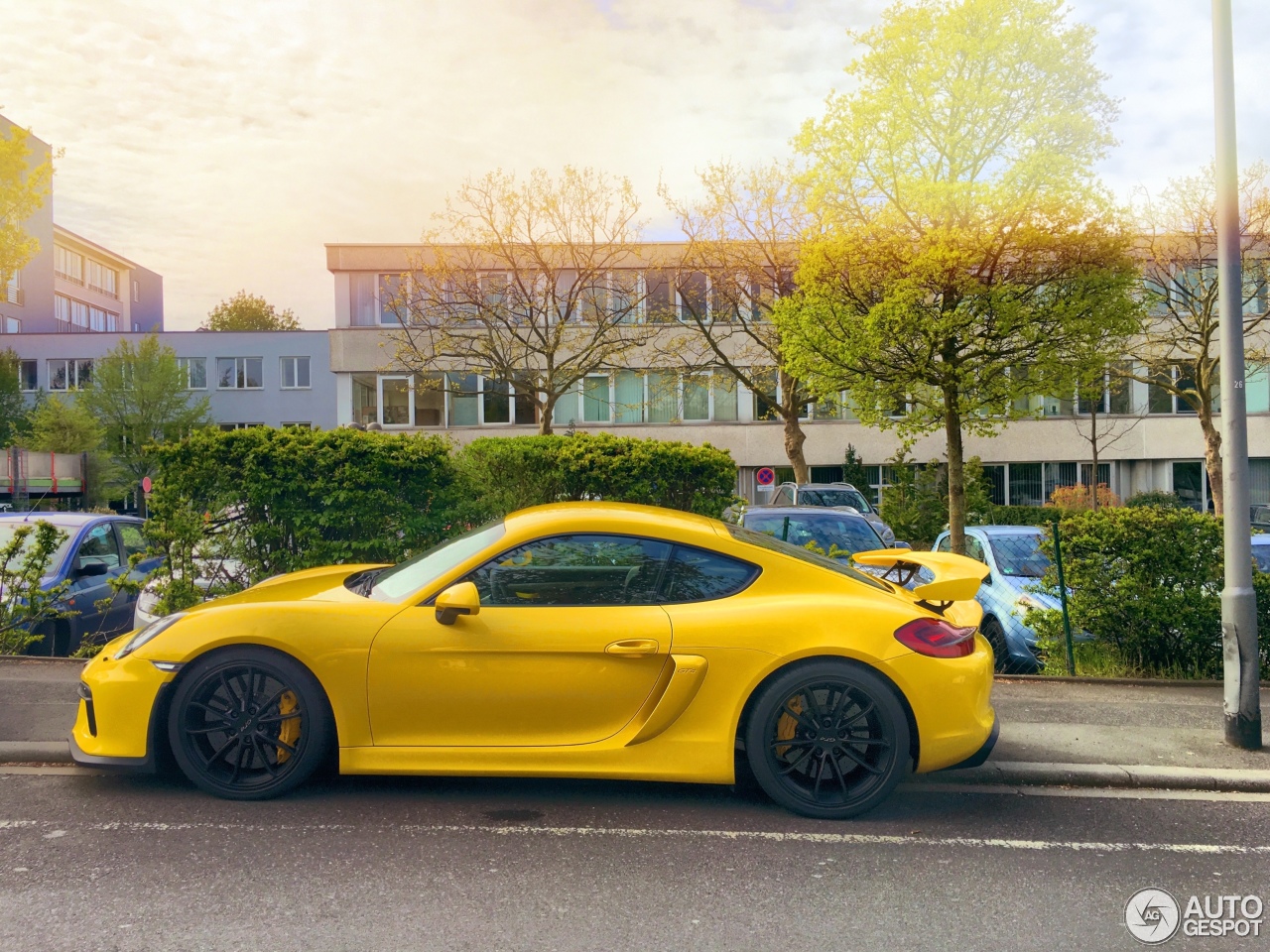 Porsche 981 Cayman GT4