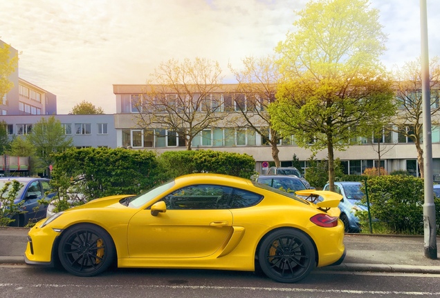 Porsche 981 Cayman GT4