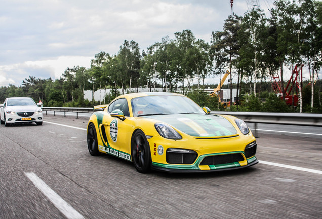 Porsche 981 Cayman GT4